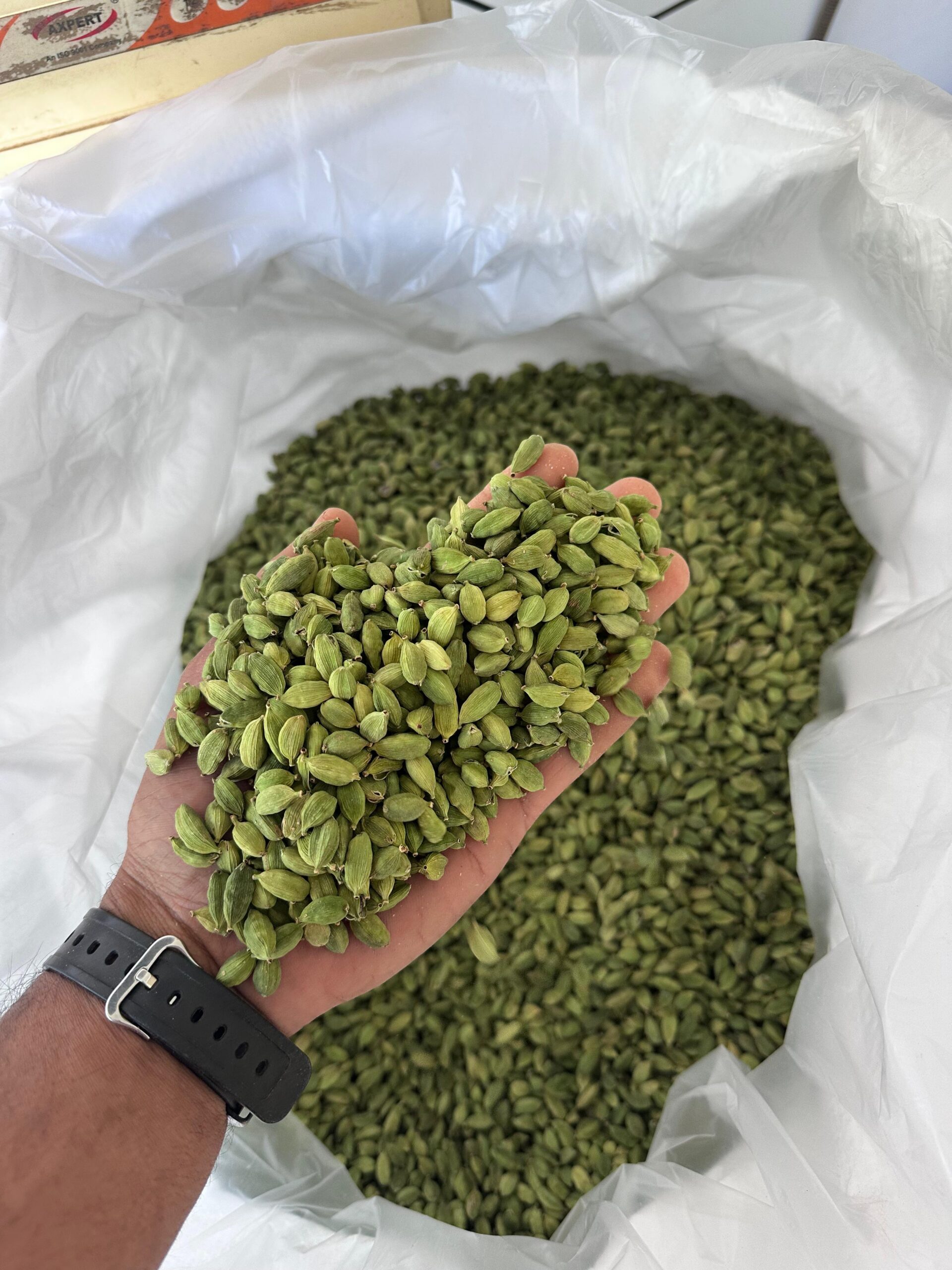 auto draft auto draft