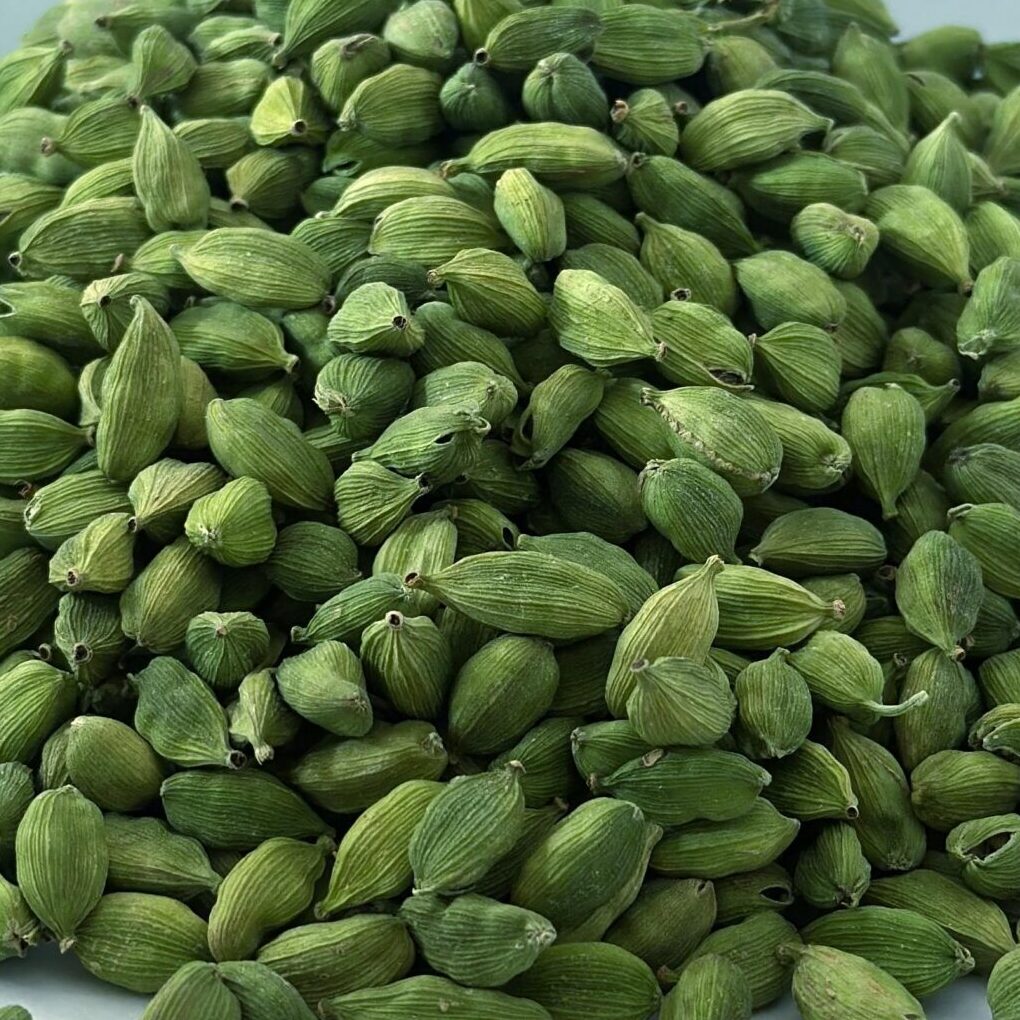 auto draft auto draft