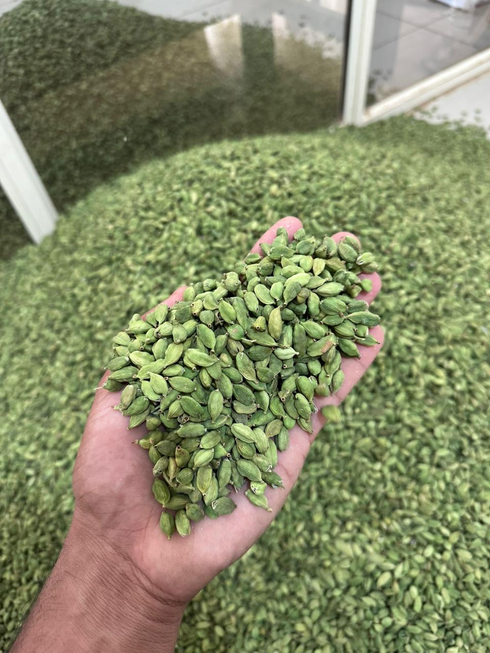 cardamom 7mm first 1kg cardamom 7mm first 1kg